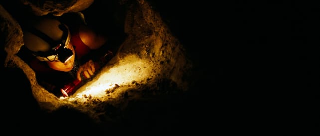 The Descent