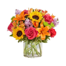 Product image of 1-800 Flowers