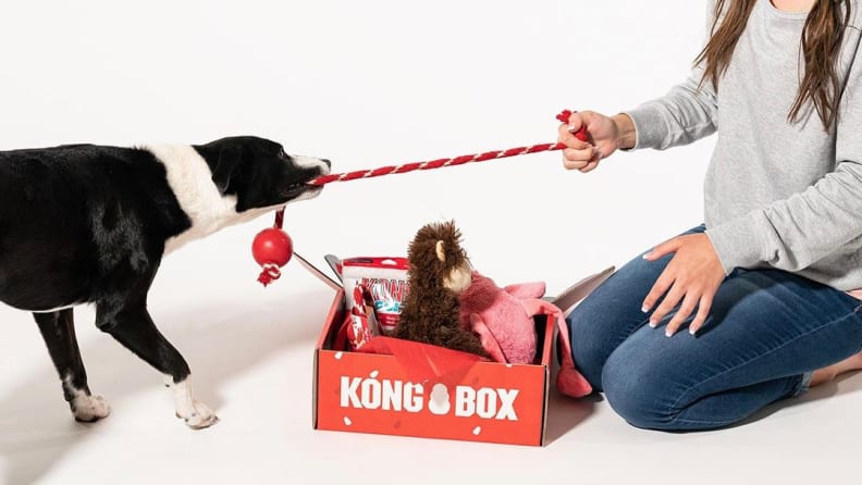 kong dog box