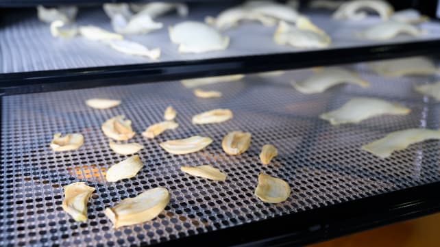 Food dehydrator can reduce food waste