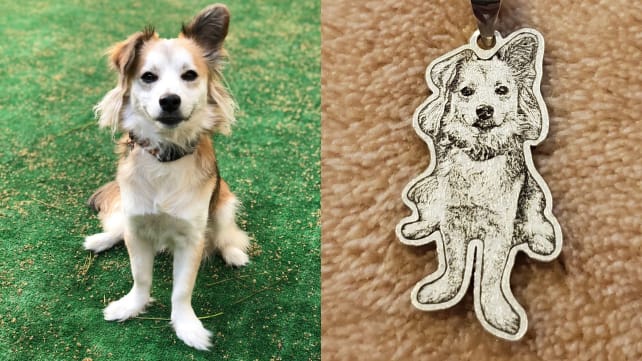 photo and pet necklace side by side