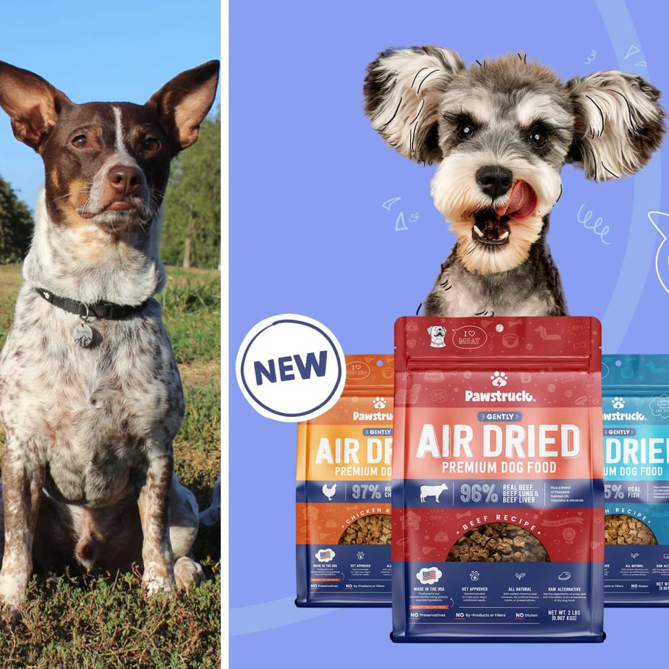 Best air dried dog shop food