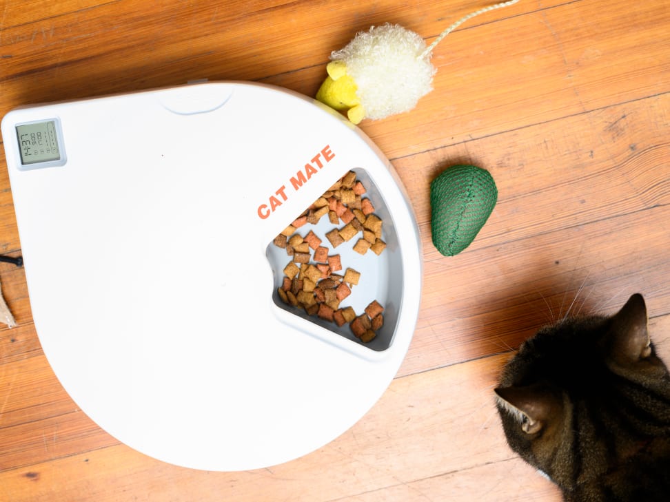 Why I love the Cat Mate C500 automatic pet feeder - Reviewed
