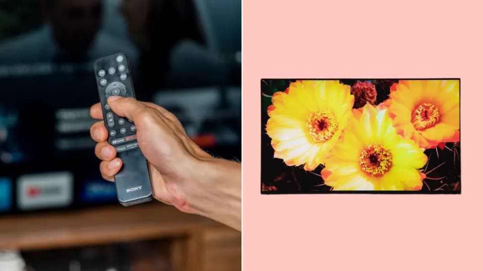 A Sony A80K TV with flowers on it next to a person holding a Sony X95K remote with a TV in the background.