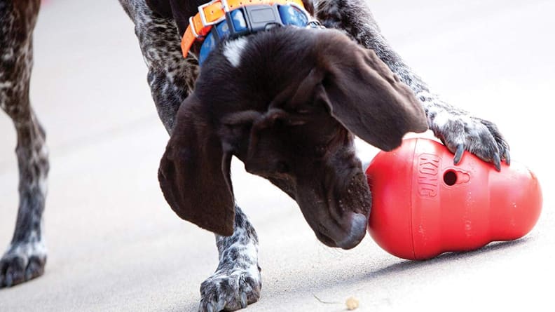 Kong Wobbler