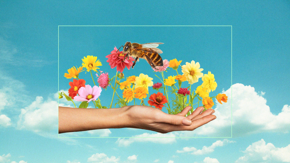 Photo illustration of a hand sprouting flowers with a giant bee.