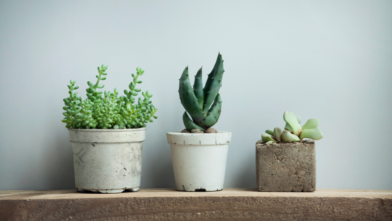 Concrete planters