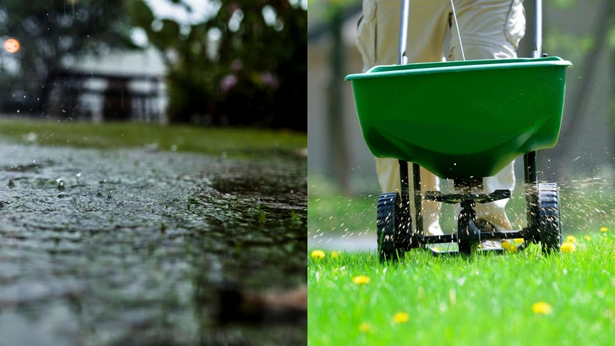 This the best time to fertilize your lawn, according to pros
