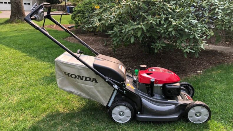 A red Honda lawn mower on the lawn against a shrub.
