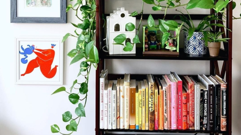 Bookshelf with books and plants.
