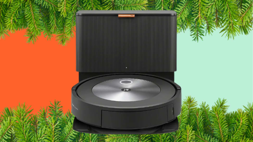 Can you clean pine needles with a robot vacuum? - Reviewed