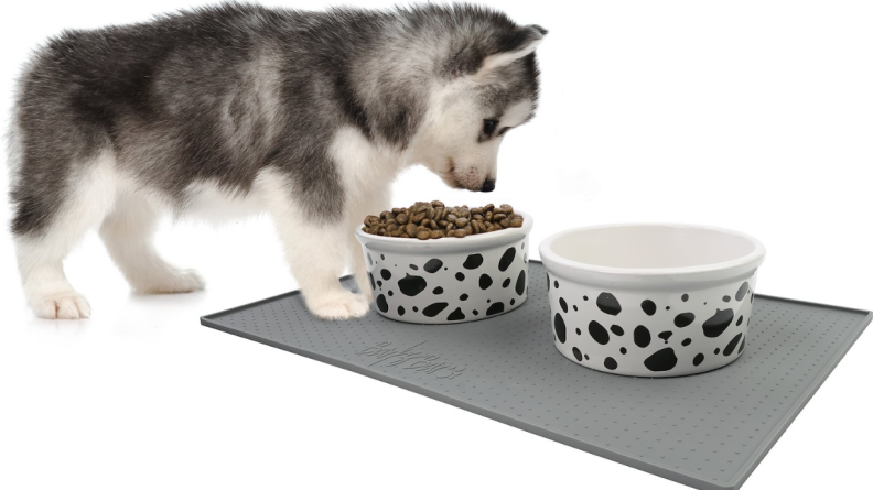 A food mat will keep your dog from making a huge mess at mealtime.