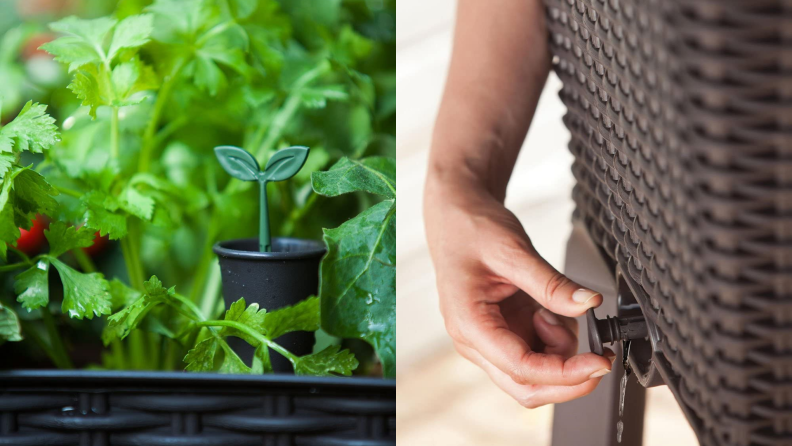 On left, self watering nozzle in a Keter Easy Grow 31.7 Gallon Raised Garden Bed surrounded by plants. On right, hand touching the water release drain on the Keter Easy Grow Raised Garden Bed.