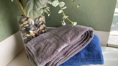 两条“大一号”浴巾——一条灰色，一条蓝色——放在浴缸里，旁边是一株植物