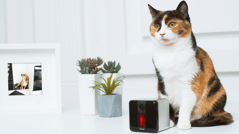 Petcube Play Pet Camera