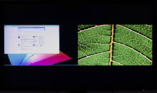 Asus-PB287Q-Full-PbP.jpg