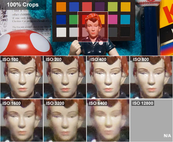 Q10RosieCrops.jpg
