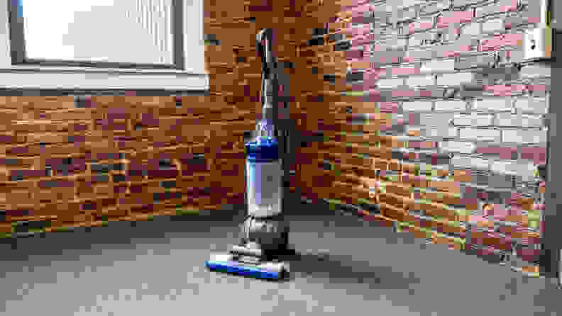 The Dyson Ball Animal 2 in a room by itself on gray carpet in front of a brick wall with a window