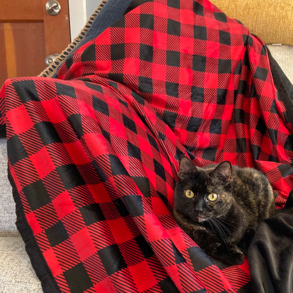 The biggest outlet best blanket
