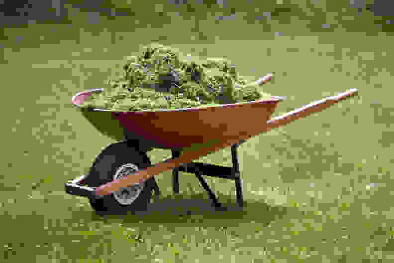 Grass clippings in wheelbarrow