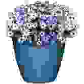 Product image of Classic Home and Garden Vogue Premiere Planter