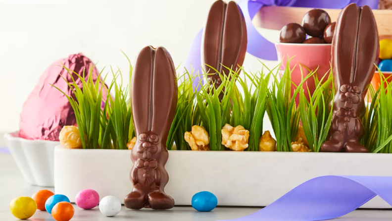 An assortment of chocolate bunnies on a counterop.