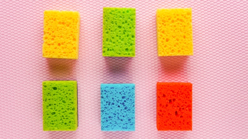 How Often Should You Change Your Sponge