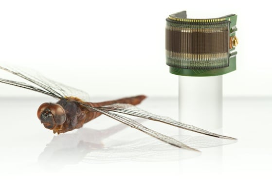 Dragonfly comparison