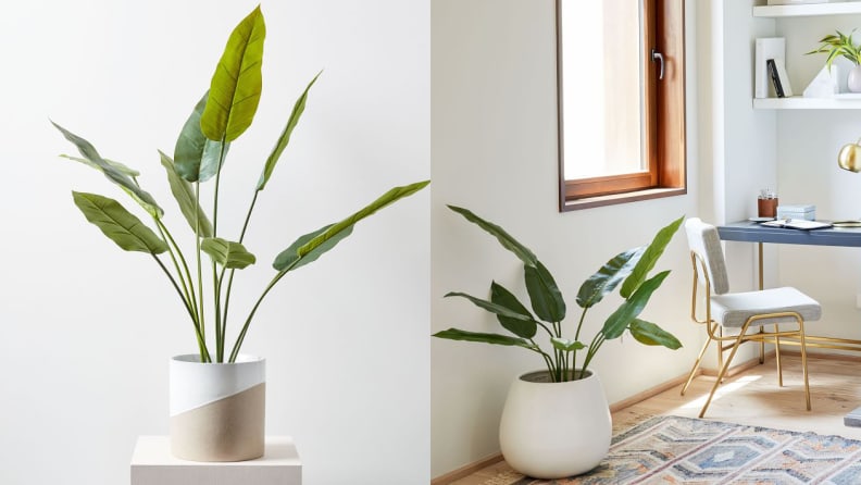 Here Are The Best Places To Buy Artificial Plants For Home Decor