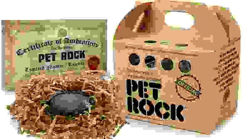 Go ahead, leave your pet rock home alone for a month. He doesn't care!