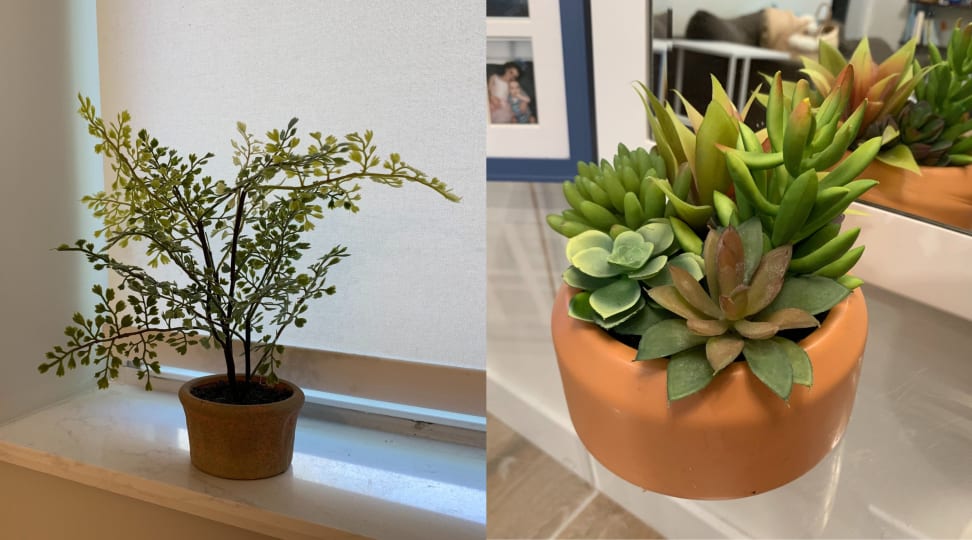 Side by side of indoor fake plants