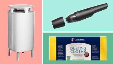 The BlueAir DustMagnet air purifier, Eufy handheld vacuum, and Guardsman dust cloths