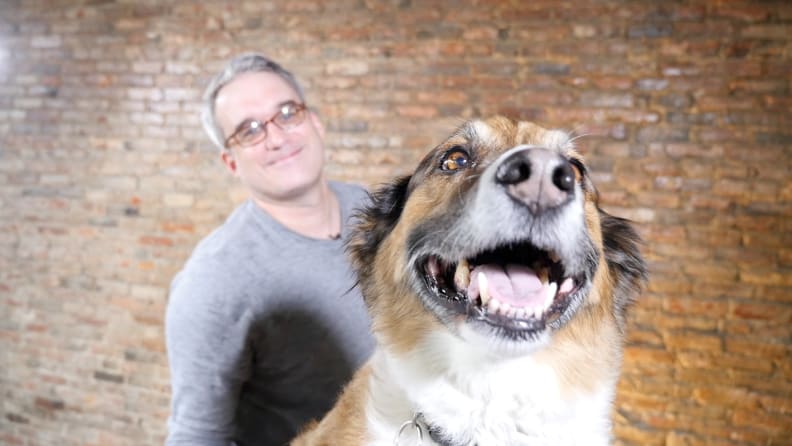 A dog named Wally