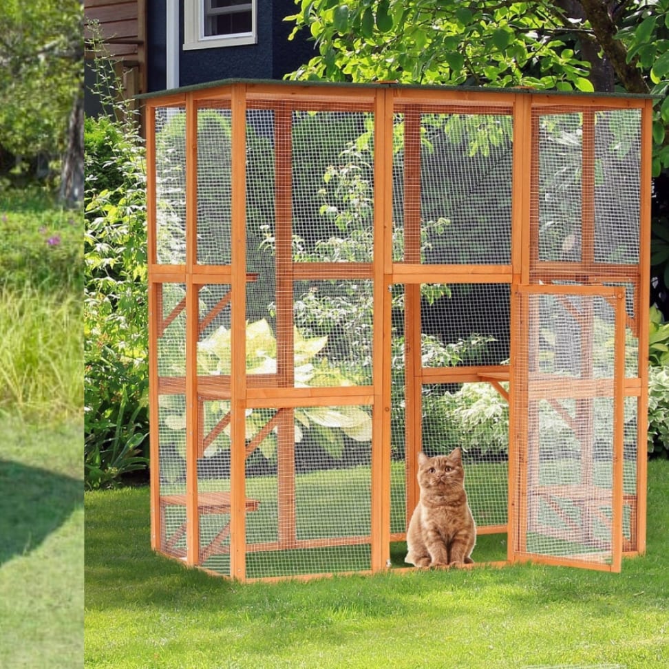 Trendy catios or outdoor cat enclosures your cat needs Reviewed