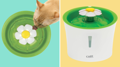 Photo collage of an orange cat drinking water out of the Catit Flower fountain and a Catit Flower Fountain with water flowing.