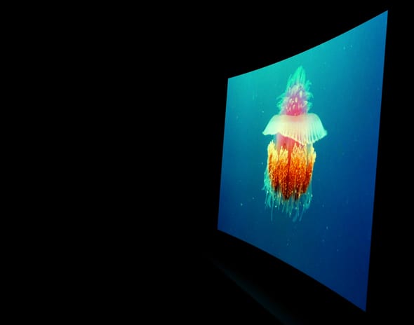 LG_55EA9800_jelly.jpg