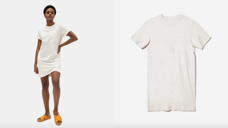 Everlane tee shirt dress