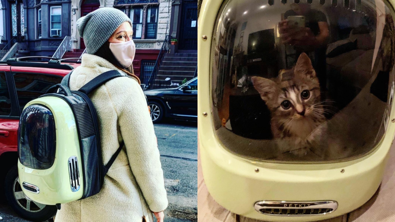 (Left) A cat is carried in a green cat backpack. (Right) A cat looks outside of a cat backpack.