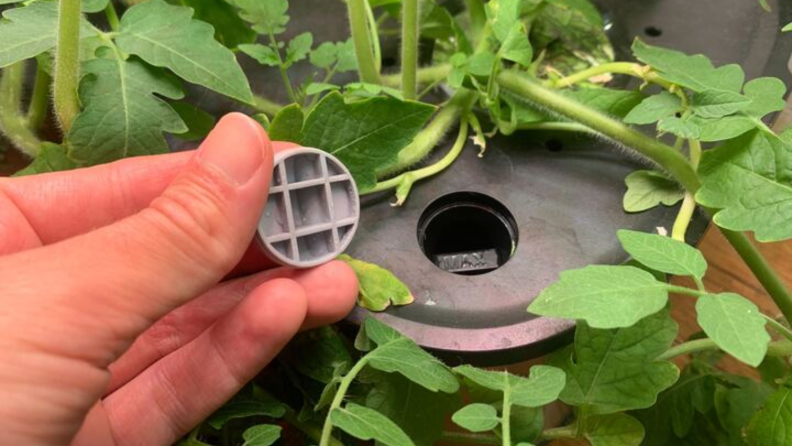 The LetPot hydroponic garden is shown in testing, with a hand holding the cap for the water fill hole.