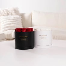 Product image of Luxury Scents They'll Love