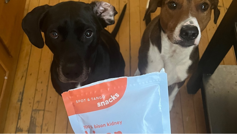 Two dogs looking at a treat bag.