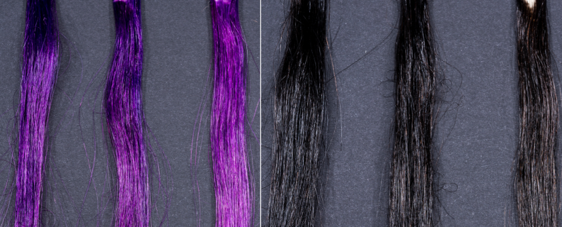Experiment results for purple (left) and brown (right) dyed hair washed with Nexxus shampoo. The leftmost hair swatch in each group wasn't washed at all, the middle swatch was washed once, and the rightmost swatch was washed five times.