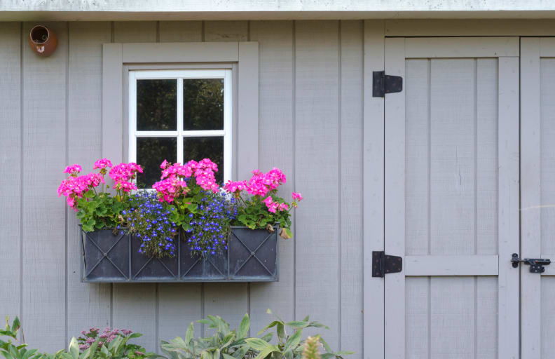 Window boxes