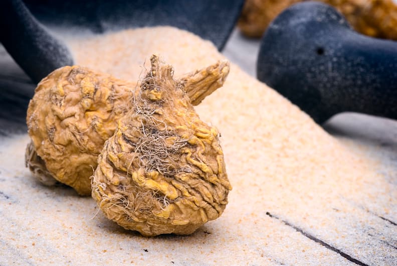 Maca root