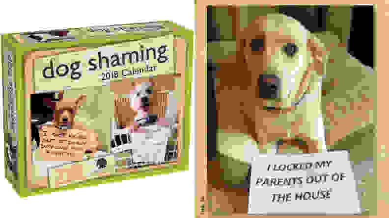 Dog Shaming Day-to-Day 2018 Calendar