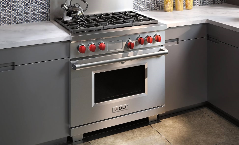 Are Dual Fuel Ovens Worth It Reviewed Ovens