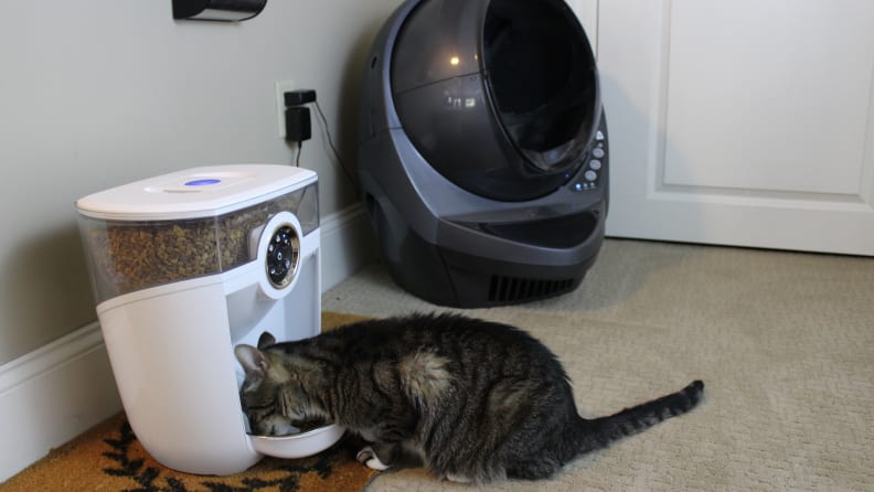 litter robot automatic feeder