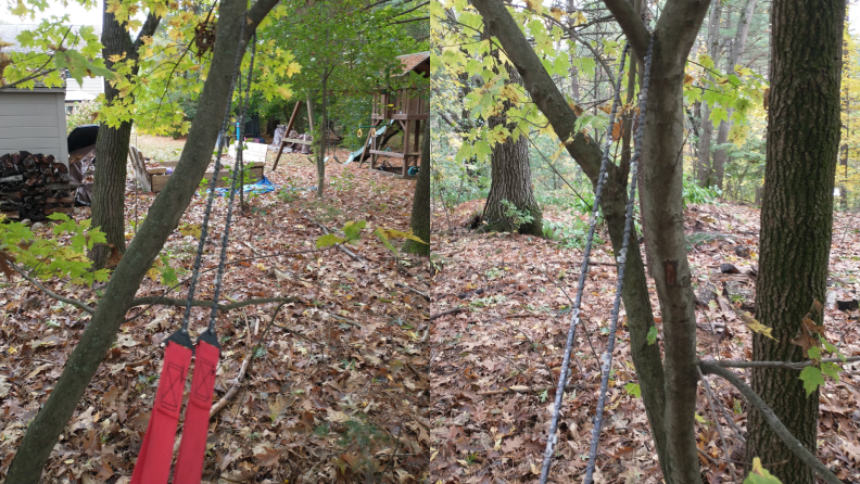 Pocket chainsaw wrapped around tree branches outdoors.