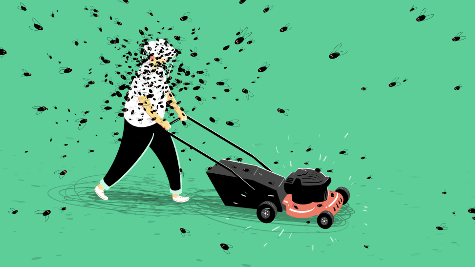 A man pushes a lawnmower through a swarm of double brood cicadas 2024