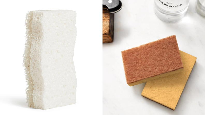 Two images of natural sponges.